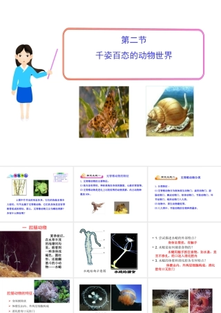八年级生物上册 第十四章 第二节 千姿百态的动物世界课件 （新版）苏教版
