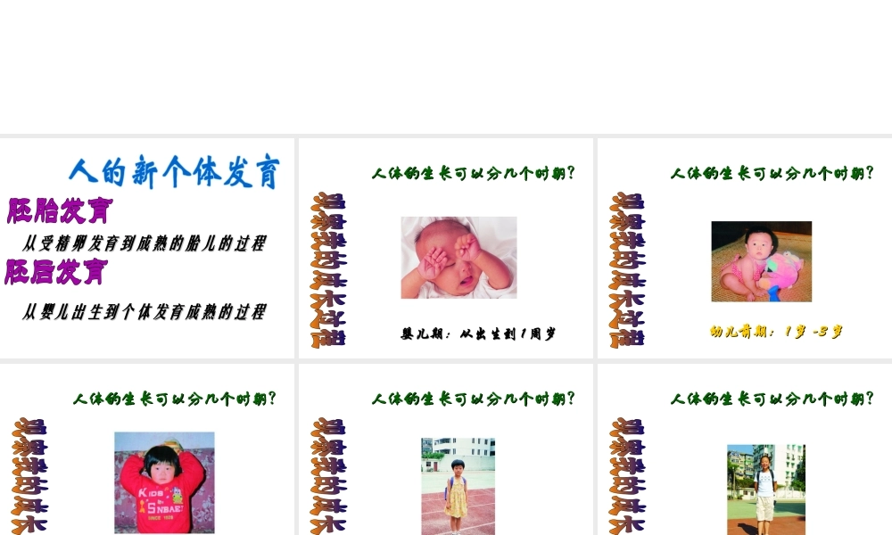 八年级生物上册《人的新个体发育》课件1 苏科版