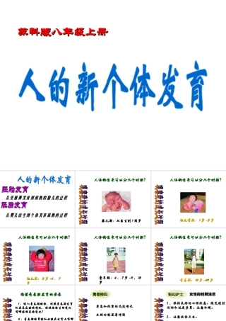 八年级生物上册《人的新个体发育》课件1 苏科版