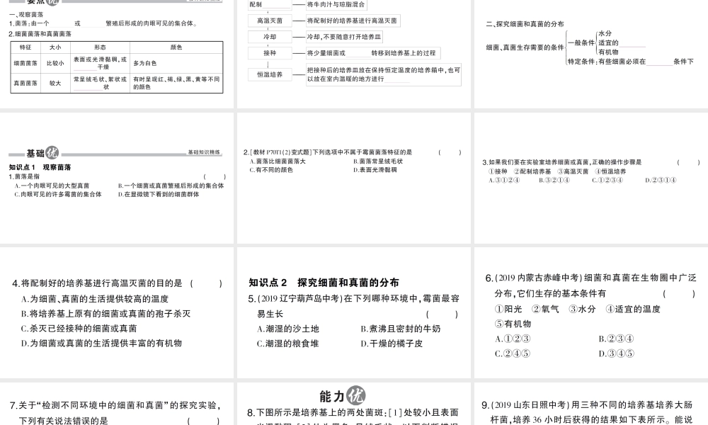 八年级生物上册 第五单元 第四章 第一节 细菌和真菌的分布作业课件 （新版）新人教版-（新版）新人教版初中八年级上册生物课件