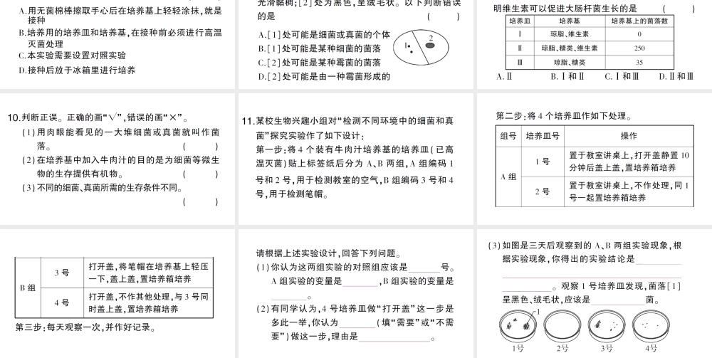 八年级生物上册 第五单元 第四章 第一节 细菌和真菌的分布作业课件 （新版）新人教版-（新版）新人教版初中八年级上册生物课件