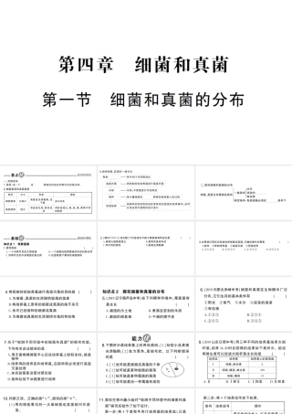 八年级生物上册 第五单元 第四章 第一节 细菌和真菌的分布作业课件 （新版）新人教版-（新版）新人教版初中八年级上册生物课件