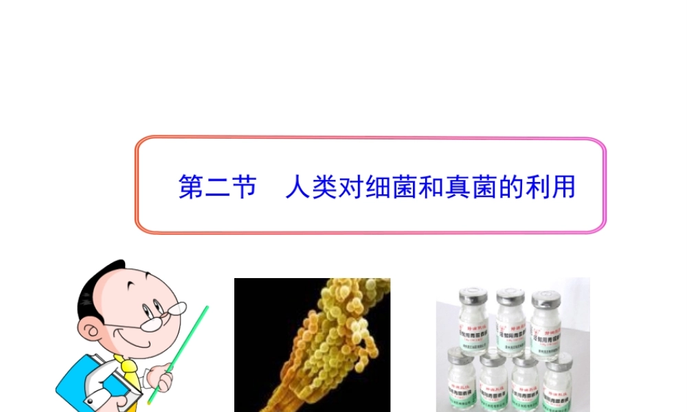 八年级生物上册 第五单元 第四章 第五节 人类对细菌和真菌的利用课件 新人教版