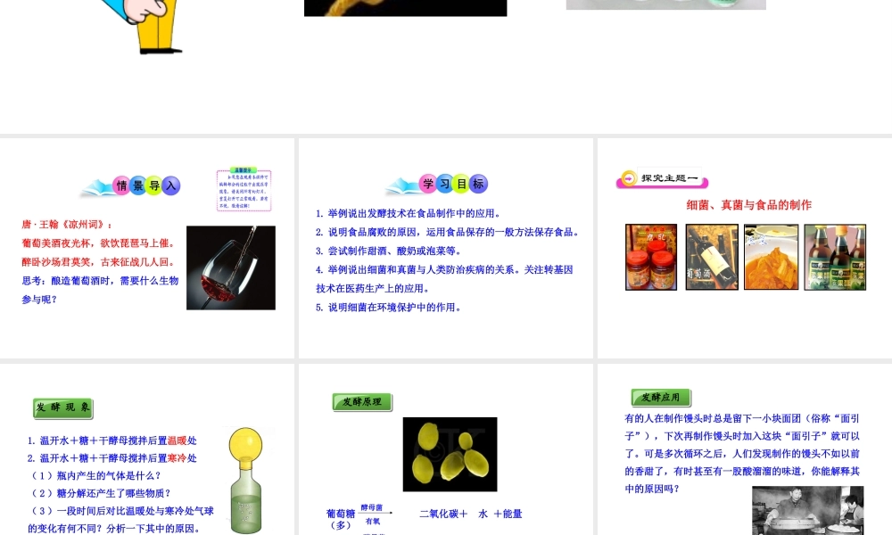 八年级生物上册 第五单元 第四章 第五节 人类对细菌和真菌的利用课件 新人教版