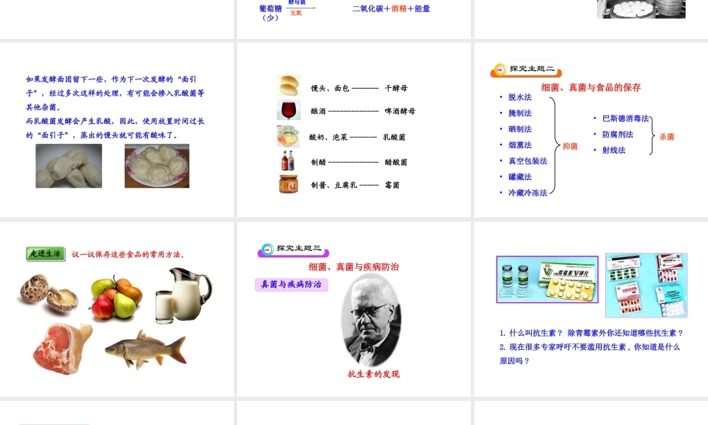 八年级生物上册 第五单元 第四章 第五节 人类对细菌和真菌的利用课件 新人教版