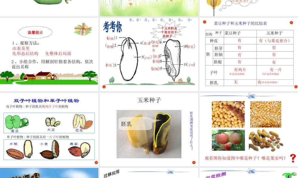 八年级生物上册 第四单元 物种的延续 第一章 绿色开花植物的一生 第三节 果实和种子的形成课件（新版）济南版-（新版）济南级上册生物课件