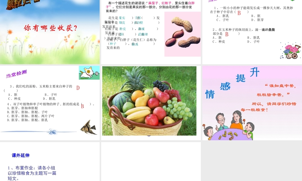 八年级生物上册 第四单元 物种的延续 第一章 绿色开花植物的一生 第三节 果实和种子的形成课件（新版）济南版-（新版）济南级上册生物课件