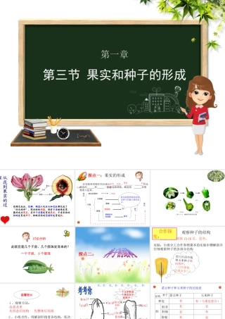 八年级生物上册 第四单元 物种的延续 第一章 绿色开花植物的一生 第三节 果实和种子的形成课件（新版）济南版-（新版）济南级上册生物课件