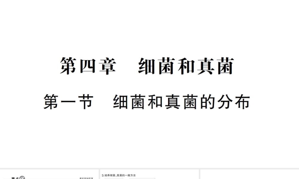 八年级生物上册 第五单元 第四章 第一节 细菌和真菌的分布作业课件 （新版）新人教版-（新版）新人教级上册生物课件