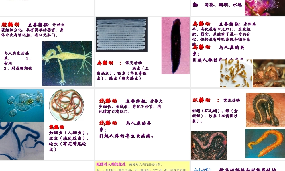 八年级生物上册 第十四章 第二节 千姿百态的动物世界课件 苏教版-苏教版初中八年级上册生物课件