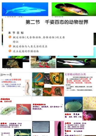 八年级生物上册 第十四章 第二节 千姿百态的动物世界课件 苏教版-苏教版初中八年级上册生物课件