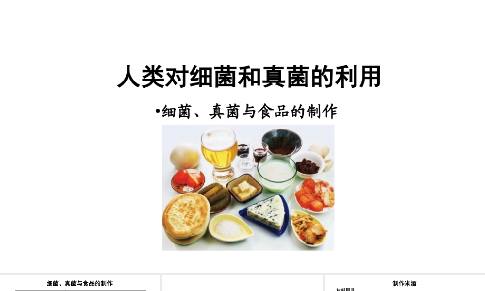 八年级生物上册 第五单元 第四章 第五节《人类对细菌和真菌的利用》课件 （新版）新人教版