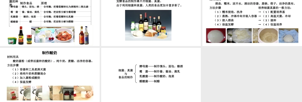 八年级生物上册 第五单元 第四章 第五节《人类对细菌和真菌的利用》课件 （新版）新人教版