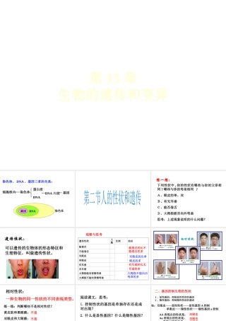 八年级生物上册《人的性状和遗传》课件 苏教版