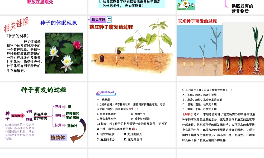 八年级生物上册 第四单元 物种的延续 第一章 绿色开花植物的一生 第四节 种子的萌发课件（新版）济南版-（新版）济南版初中八年级上册生物课件