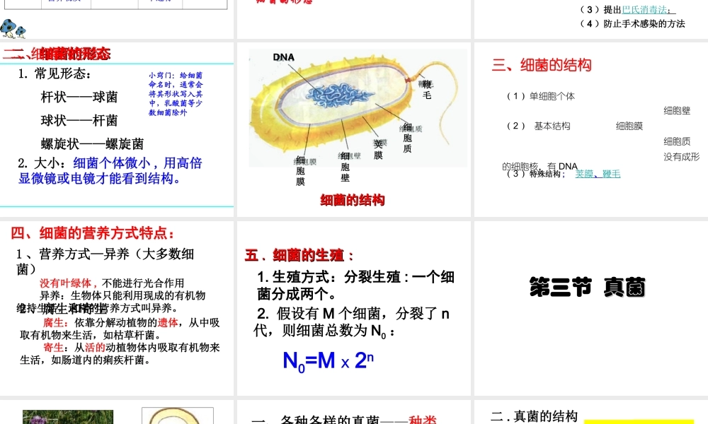八年级生物上册 第五单元 第四章 细菌和真菌复习课件 （新版）新人教版-（新版）新人教版初中八年级上册生物课件