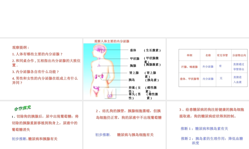 八年级生物上册《人体的激素调节》课件1 教科版