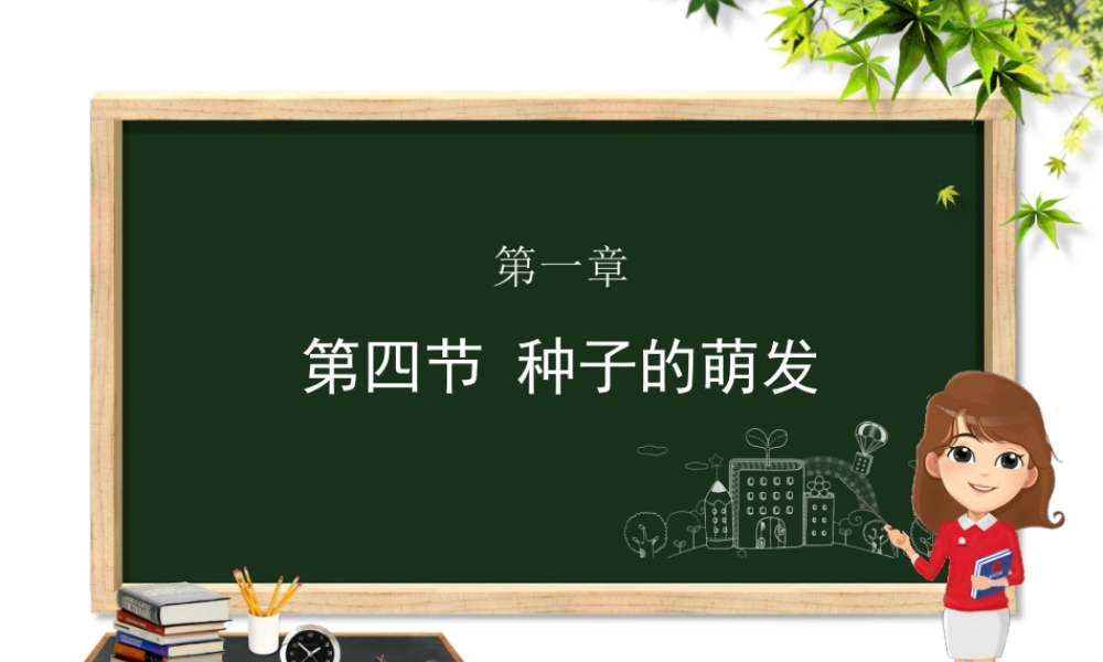 八年级生物上册 第四单元 物种的延续 第一章 绿色开花植物的一生 第四节 种子的萌发课件（新版）济南版-（新版）济南级上册生物课件