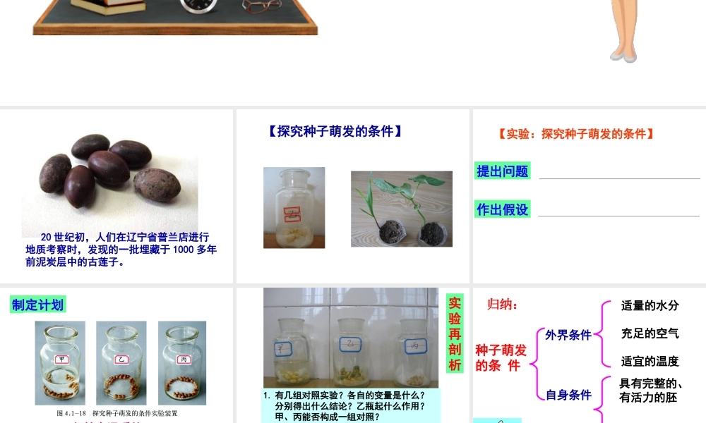 八年级生物上册 第四单元 物种的延续 第一章 绿色开花植物的一生 第四节 种子的萌发课件（新版）济南版-（新版）济南级上册生物课件