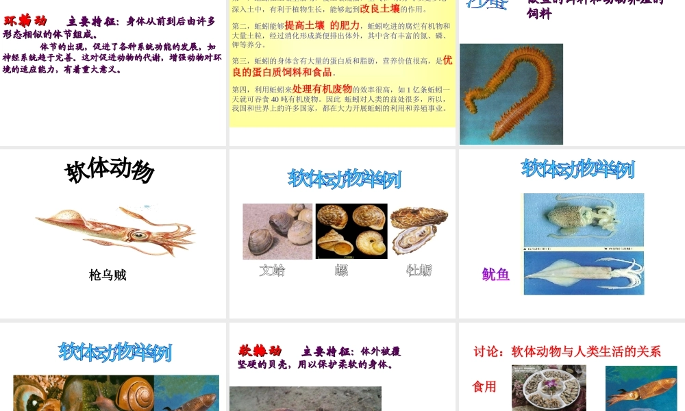 八年级生物上册 第十四章 第二节 千姿百态的动物世界课件 苏教版-苏教级上册生物课件