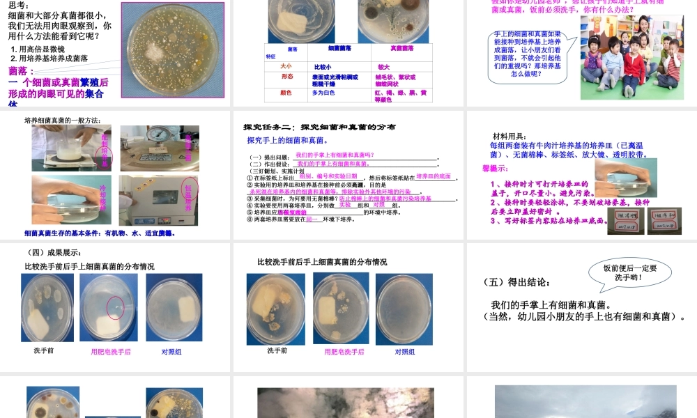 八年级生物上册 第五单元 第四章 第一节《细菌和真菌的分布》课件 （新版）新人教版-（新版）新人教级上册生物课件