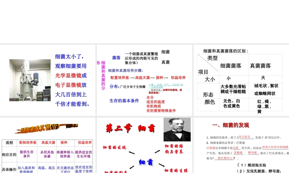 八年级生物上册 第五单元 第四章 细菌和真菌复习课件 （新版）新人教版-（新版）新人教级上册生物课件