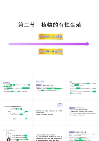 八年级生物上册 第十四章 第二节 植物的有性生殖课件 苏教版