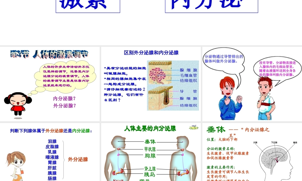 八年级生物上册《人体的激素调节》课件2 教科版