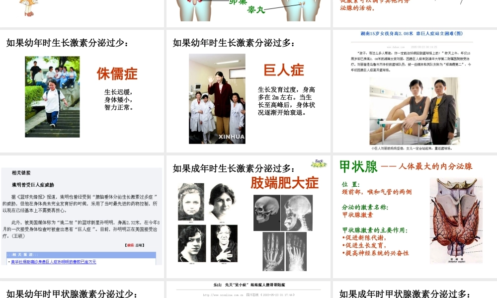 八年级生物上册《人体的激素调节》课件2 教科版