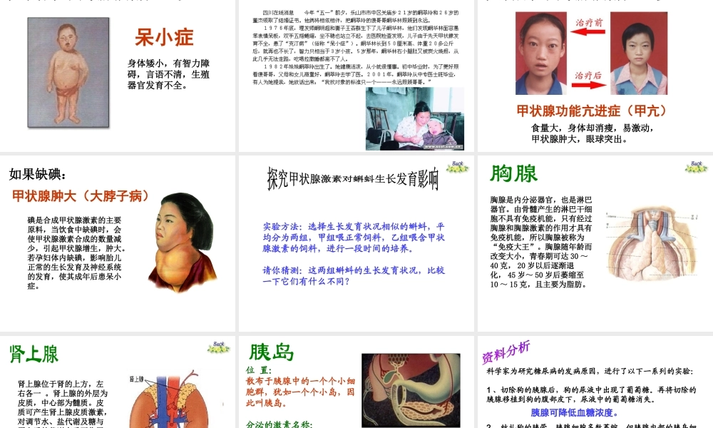 八年级生物上册《人体的激素调节》课件2 教科版