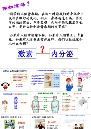 八年级生物上册《人体的激素调节》课件2 教科版
