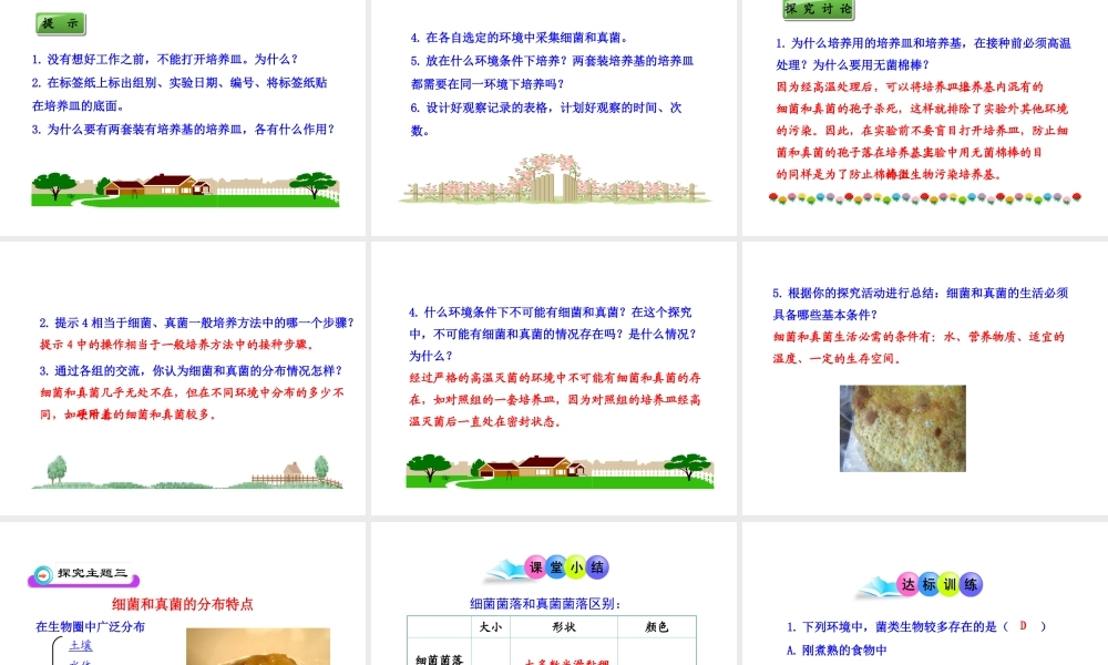 八年级生物上册 第五单元 第四章 第一节《细菌和真菌的分布》课件 新人教版