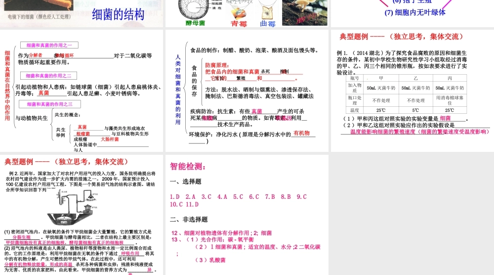 八年级生物上册 第五单元 第四章 细菌和真菌复习课件 （新版）新人教版