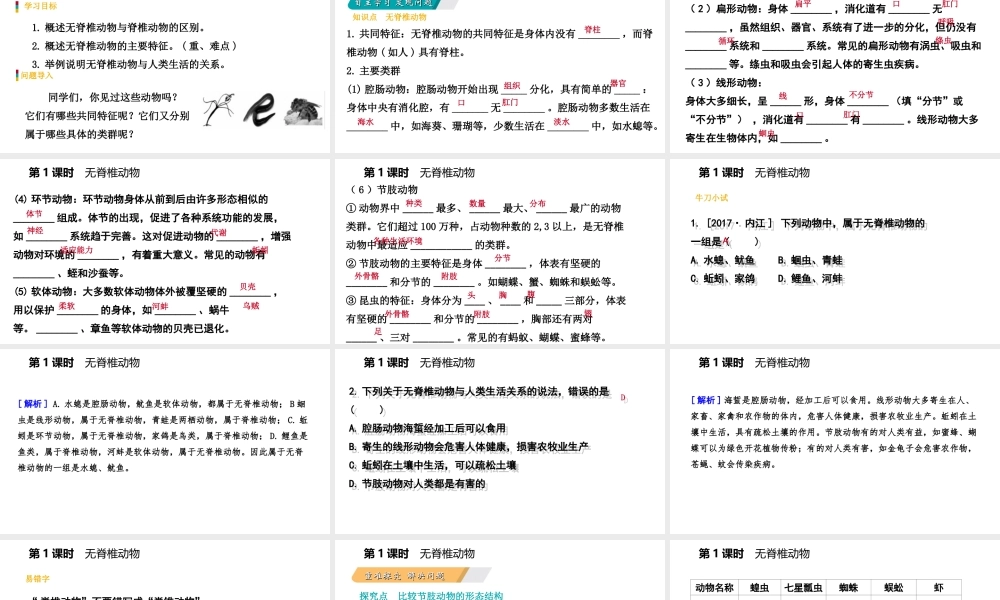 八年级生物上册 第十四章 第二节千姿百态的动物世界（第1课时 无脊椎动物）课件 （新版）苏教版-（新版）苏教版初中八年级上册生物课件