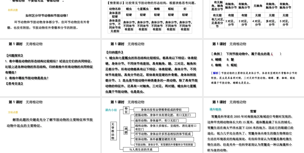 八年级生物上册 第十四章 第二节千姿百态的动物世界（第1课时 无脊椎动物）课件 （新版）苏教版-（新版）苏教版初中八年级上册生物课件
