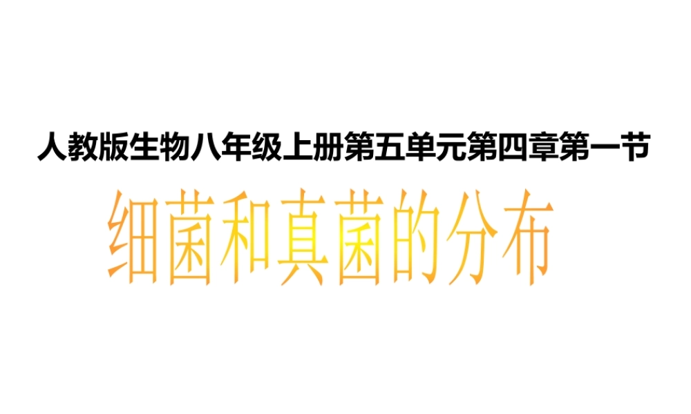 八年级生物上册 第五单元 第四章 第一节细菌和真菌的分布课件 新人教版