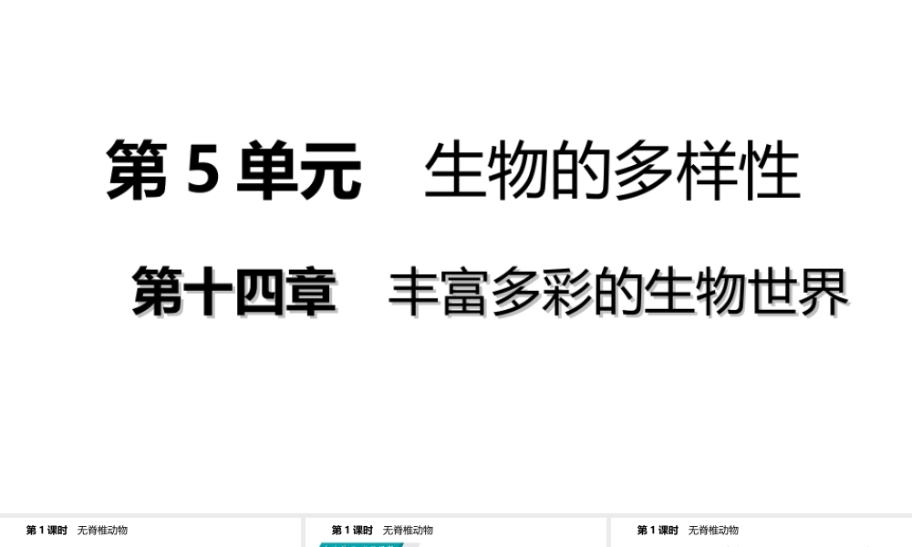 八年级生物上册 第十四章 第二节千姿百态的动物世界（第1课时 无脊椎动物）课件 （新版）苏教版-（新版）苏教级上册生物课件