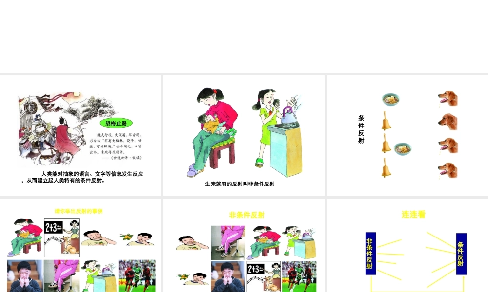 八年级生物上册《人体的神经调节》课件1 苏科版