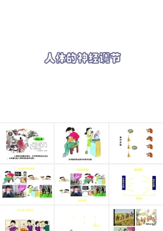 八年级生物上册《人体的神经调节》课件1 苏科版