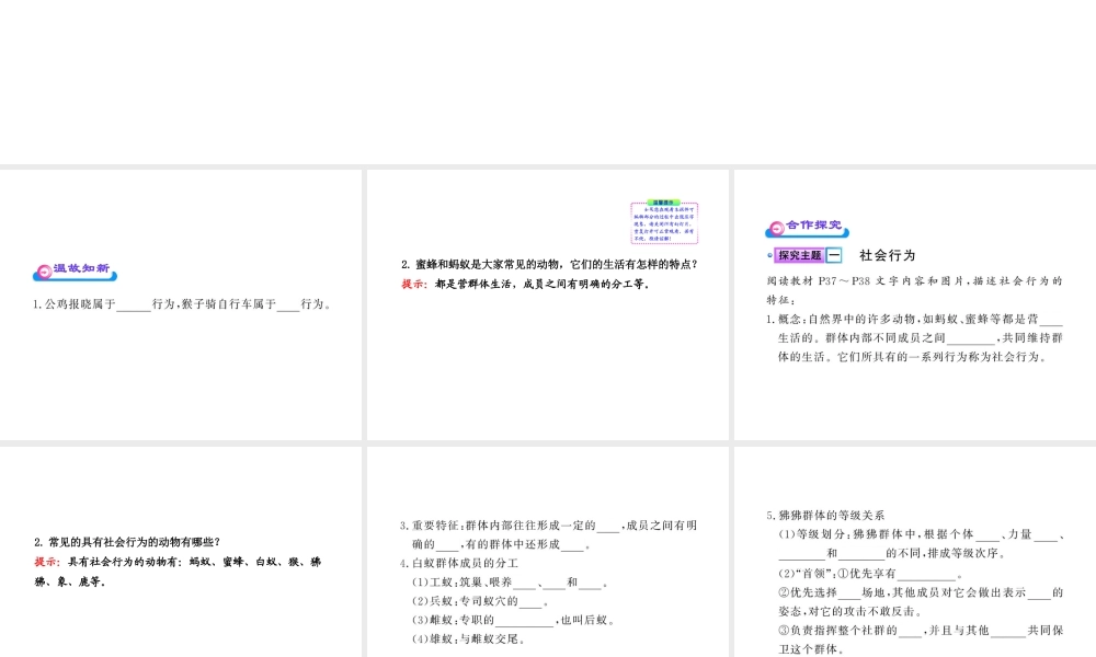 八年级生物上册 第五单元 第五单元第二章第三节 社会行为课件 （新版）新人教版