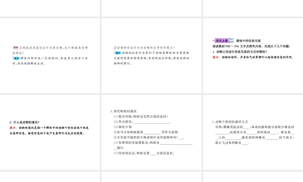 八年级生物上册 第五单元 第五单元第二章第三节 社会行为课件 （新版）新人教版