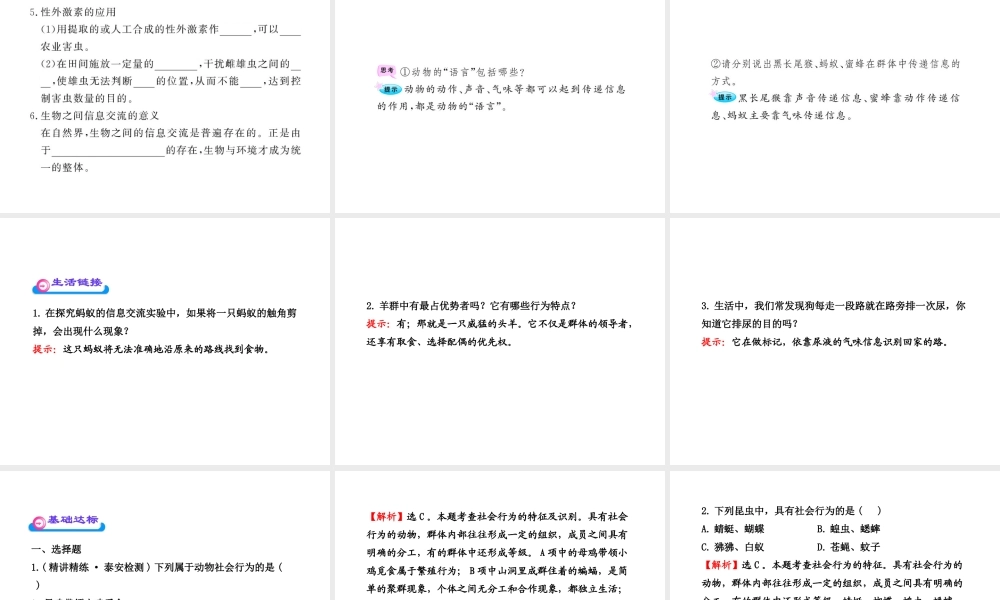 八年级生物上册 第五单元 第五单元第二章第三节 社会行为课件 （新版）新人教版