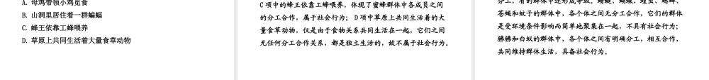 八年级生物上册 第五单元 第五单元第二章第三节 社会行为课件 （新版）新人教版