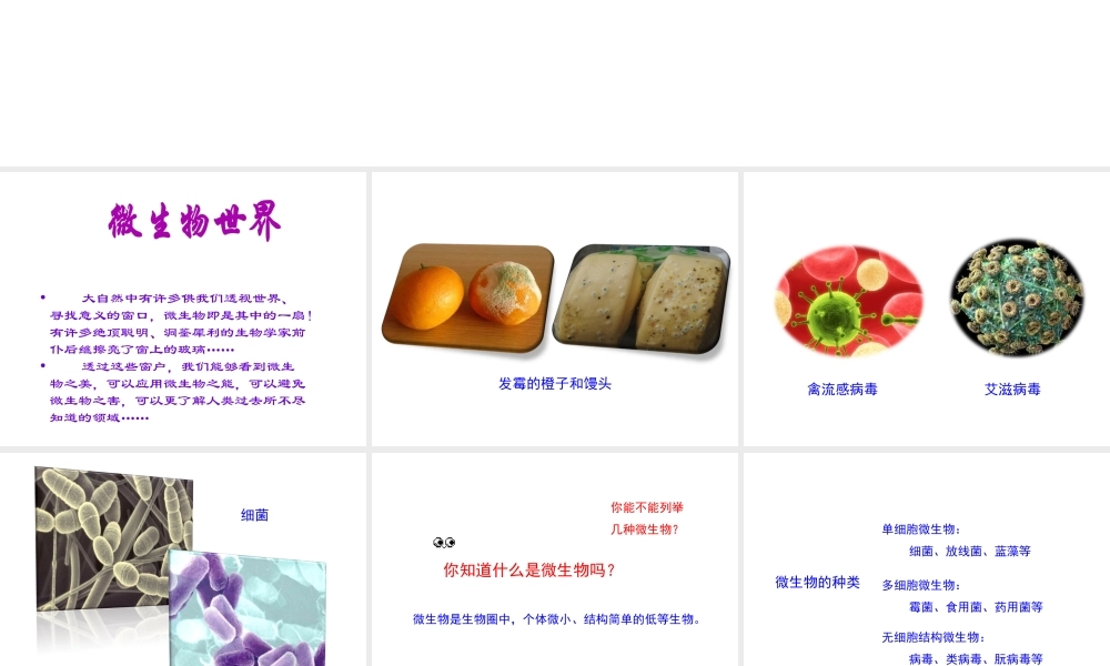 八年级生物上册 第五单元 第四章《微生物在生物圈中的作用》课件 （新版）冀教版-（新版）冀教版初中八年级上册生物课件