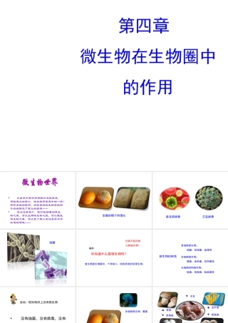 八年级生物上册 第五单元 第四章《微生物在生物圈中的作用》课件 （新版）冀教版-（新版）冀教版初中八年级上册生物课件