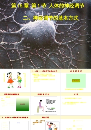 八年级生物上册《人体的神经调节》课件2 苏科版
