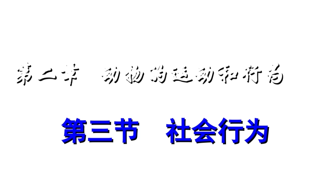 八年级生物上册 第五单元 第五单元第二章第三节《社会行为》课件 （新版）新人教版