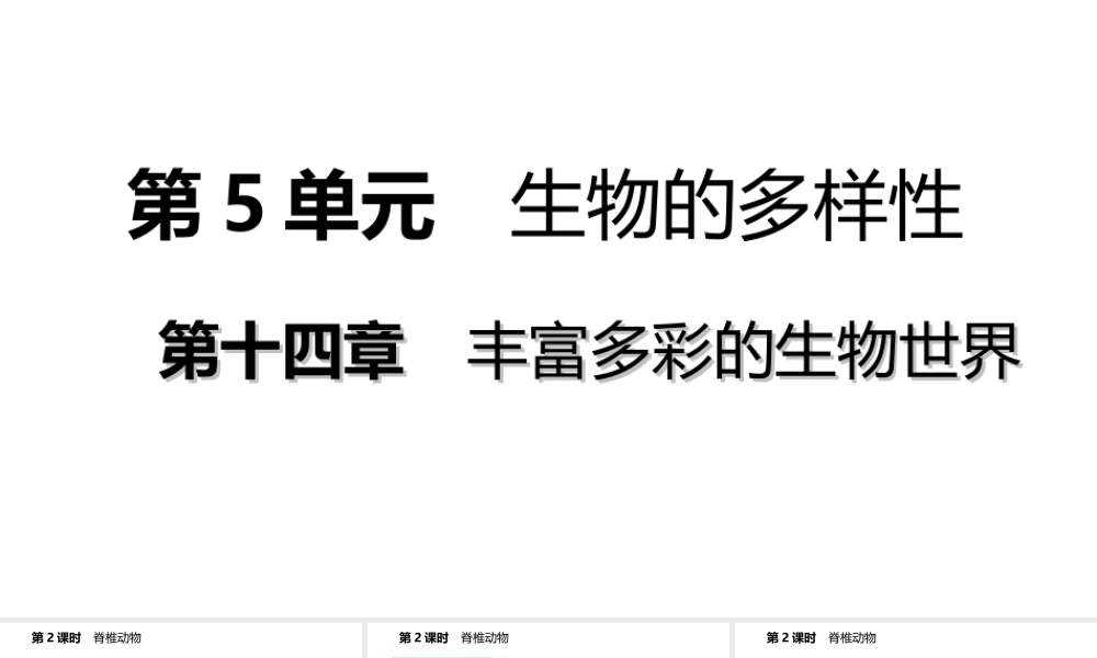 八年级生物上册 第十四章 第二节千姿百态的动物世界（第2课时 脊椎动物）课件 （新版）苏教版-（新版）苏教级上册生物课件