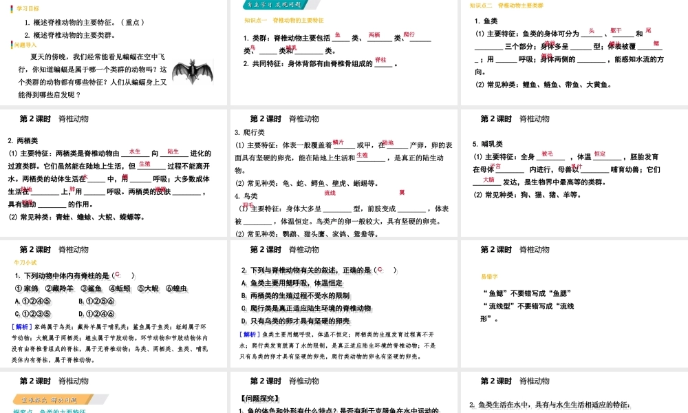 八年级生物上册 第十四章 第二节千姿百态的动物世界（第2课时 脊椎动物）课件 （新版）苏教版-（新版）苏教级上册生物课件