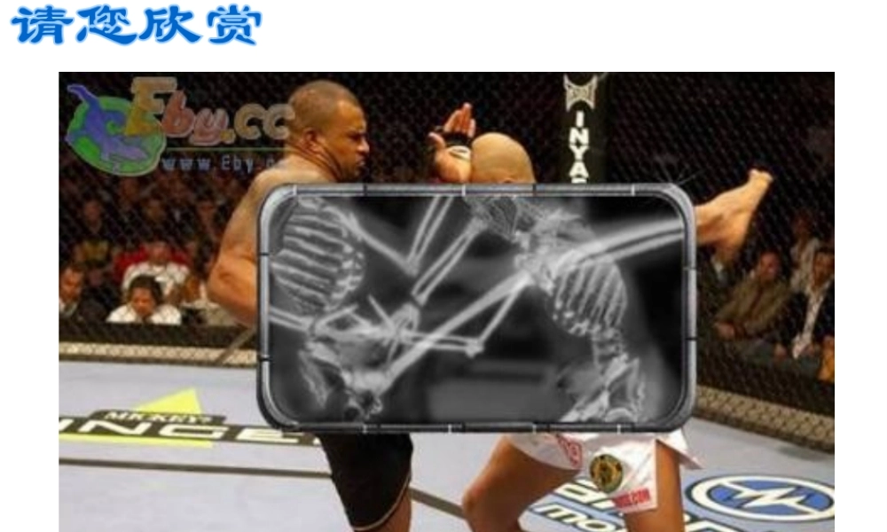 八年级生物上册《人体的支持与运动》课件1 苏科版